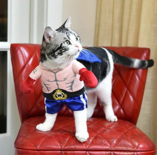 Boxer Costume for Cat or Small Dog