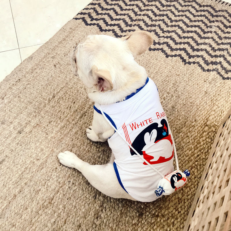 Snack & Drink Pet Costume