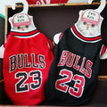 Basketball Costume for Cats & Dogs