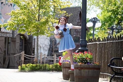 Girls Dorothy Costume Wizard of Oz -