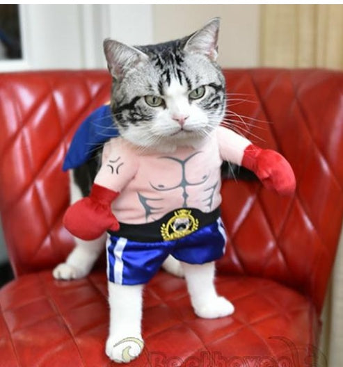 Boxer Costume for Cat or Small Dog
