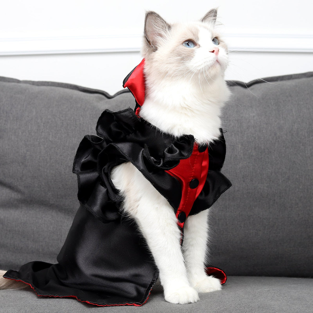Cat Vampire Costume