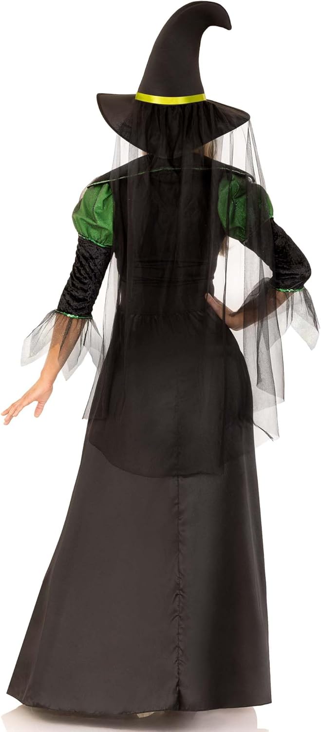 Storybook Witch Costume for Women