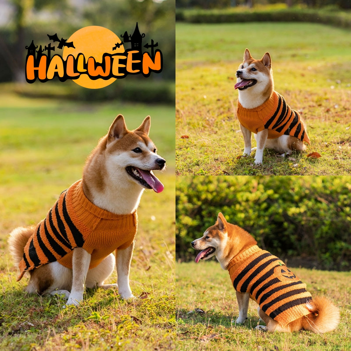 Halloween Dog Sweater Costume