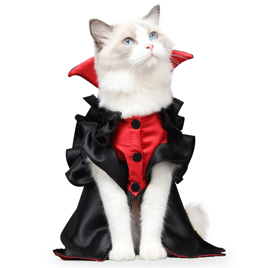 Cat Vampire Costume