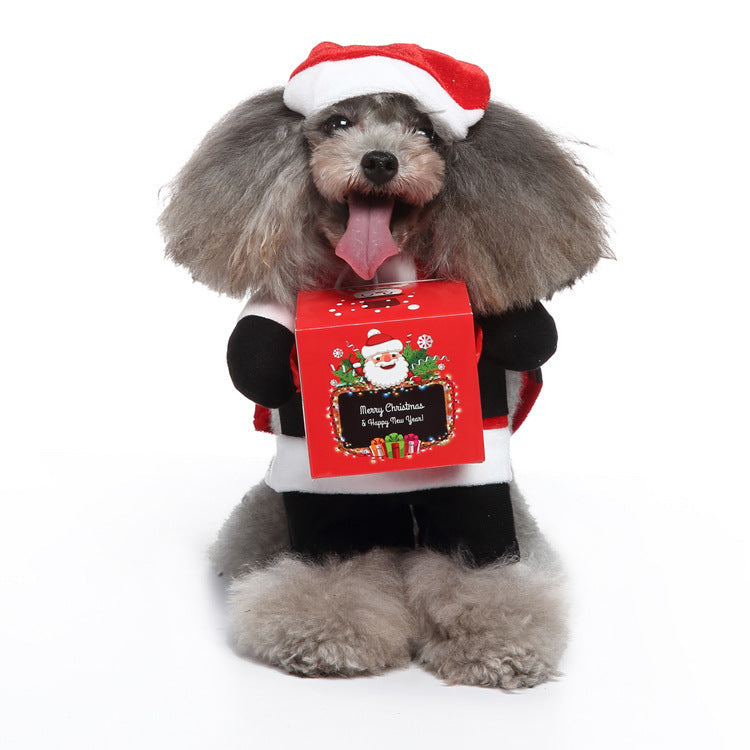 Funny Upright Dog Costume with Hat