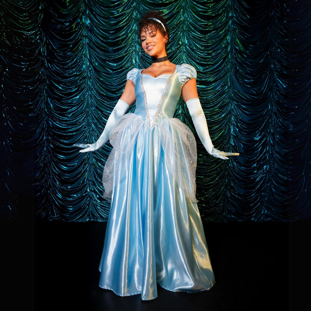 Cinderella Costume for Women