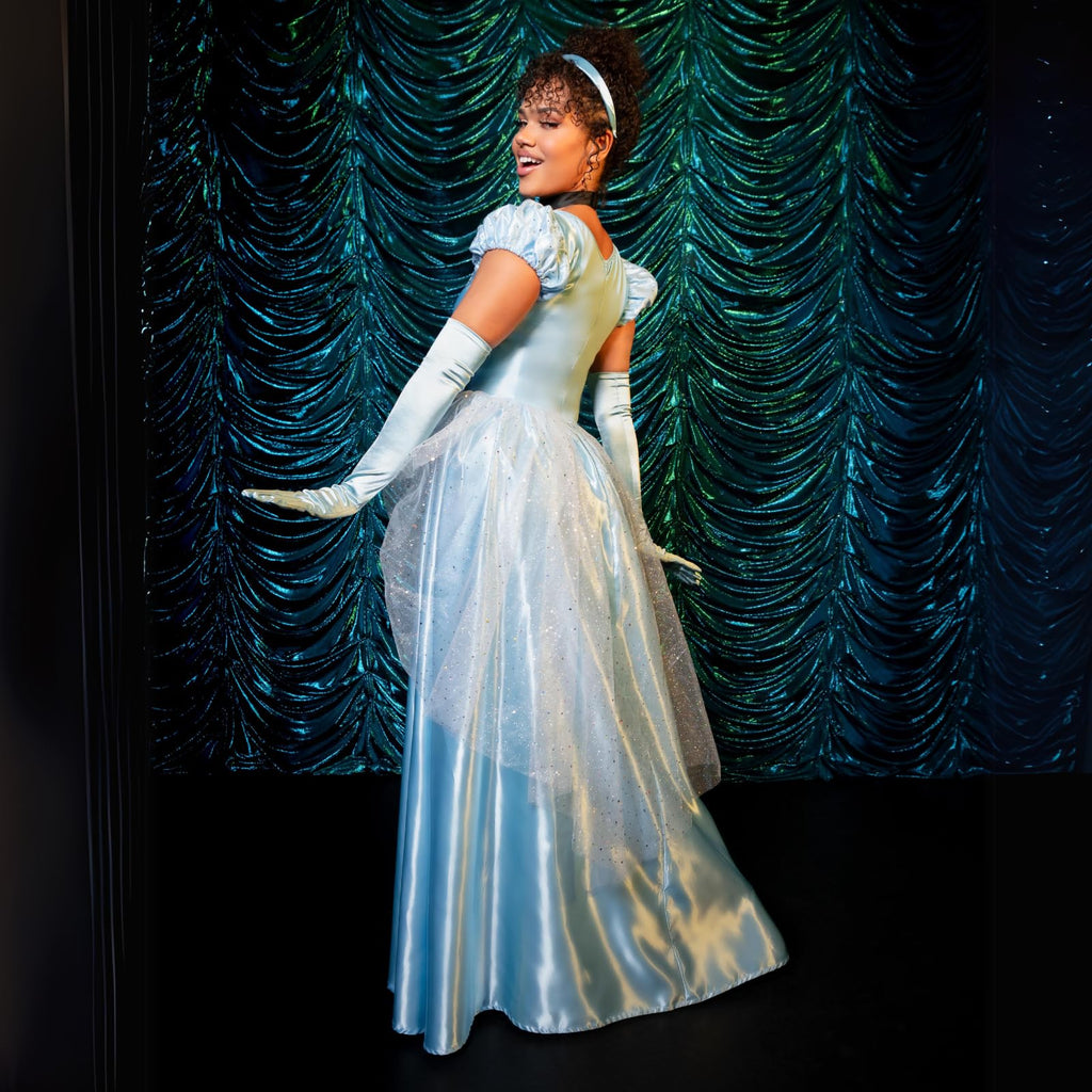 Cinderella Costume for Women