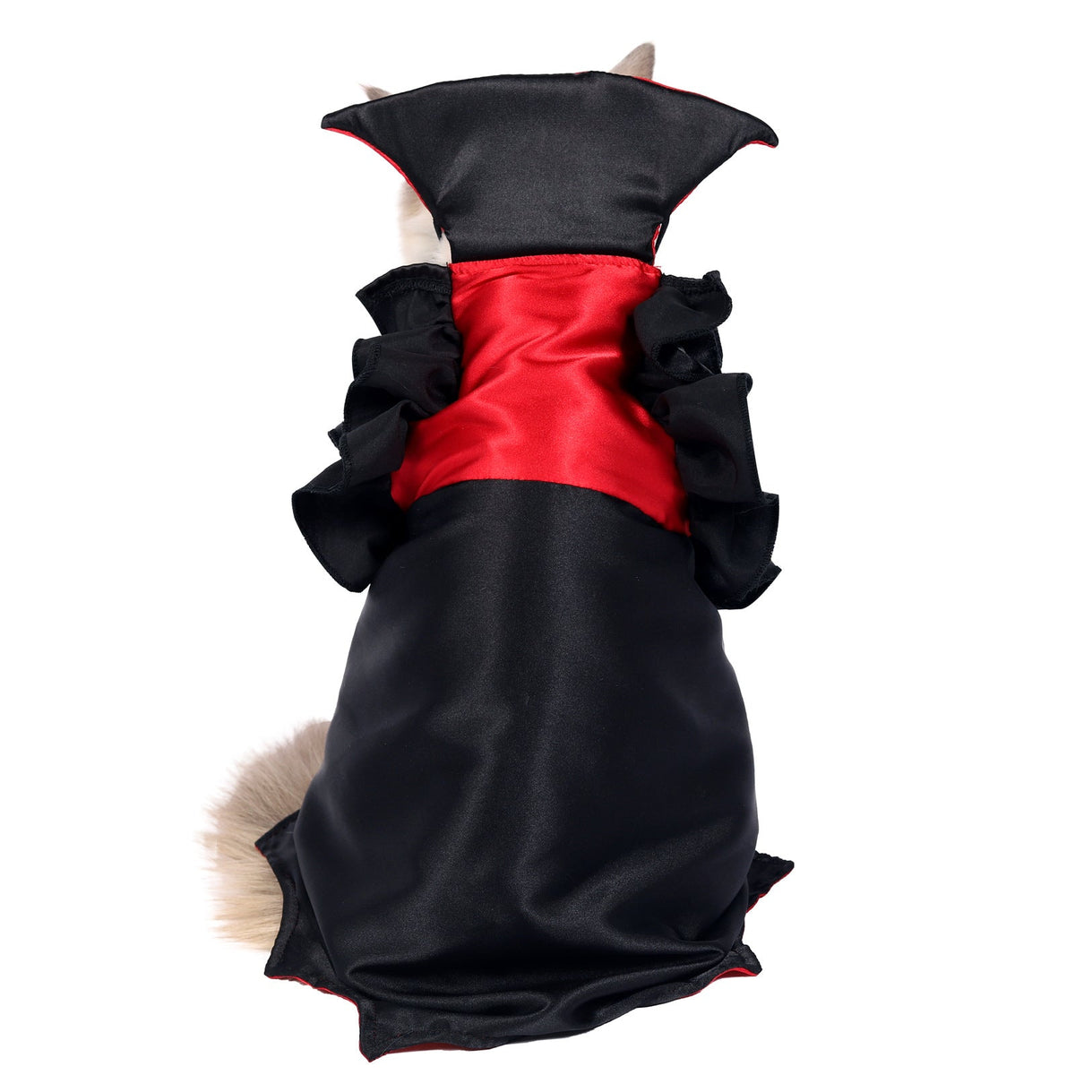 Cat Vampire Costume