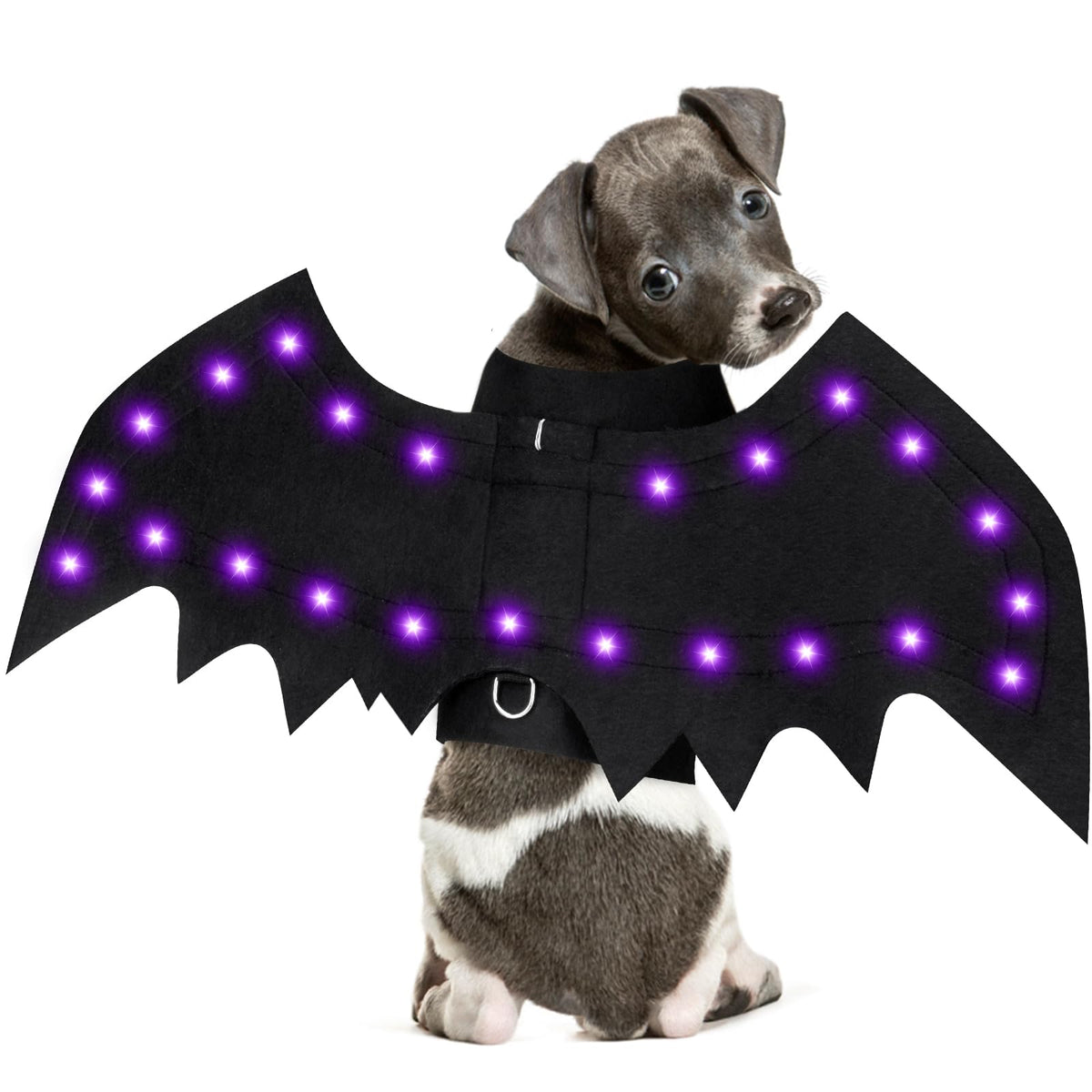 Light Up Dog Halloween Costume Halloween Dog Bat Wings Costume with 16 Purple Lights Funny Dog Costumes Halloween for Small Medium Large Dogs Cats Pet