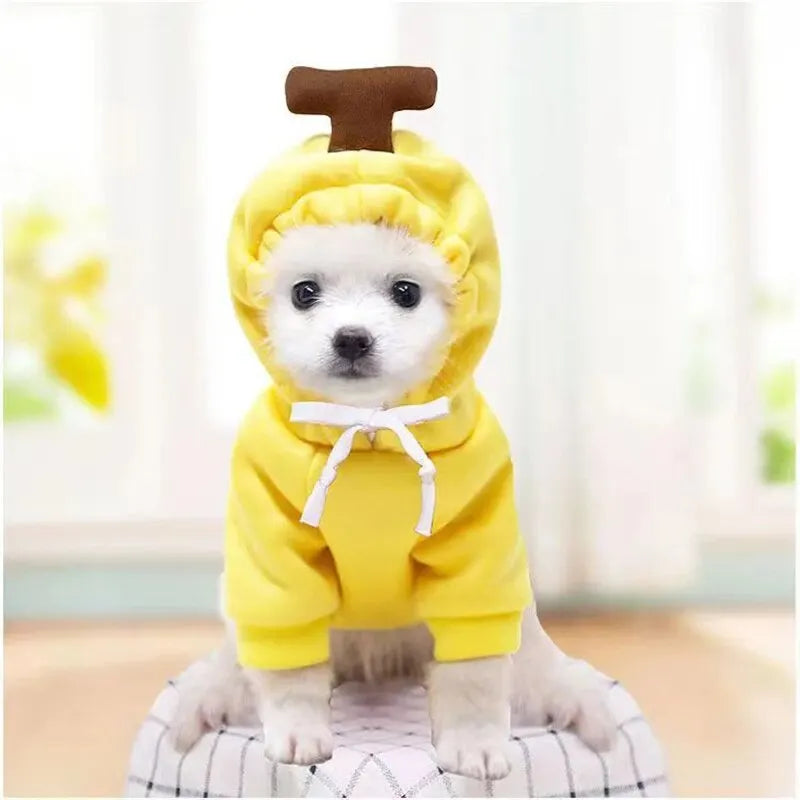 Fruit-Themed Pet Hoodie for Dogs and Cats
