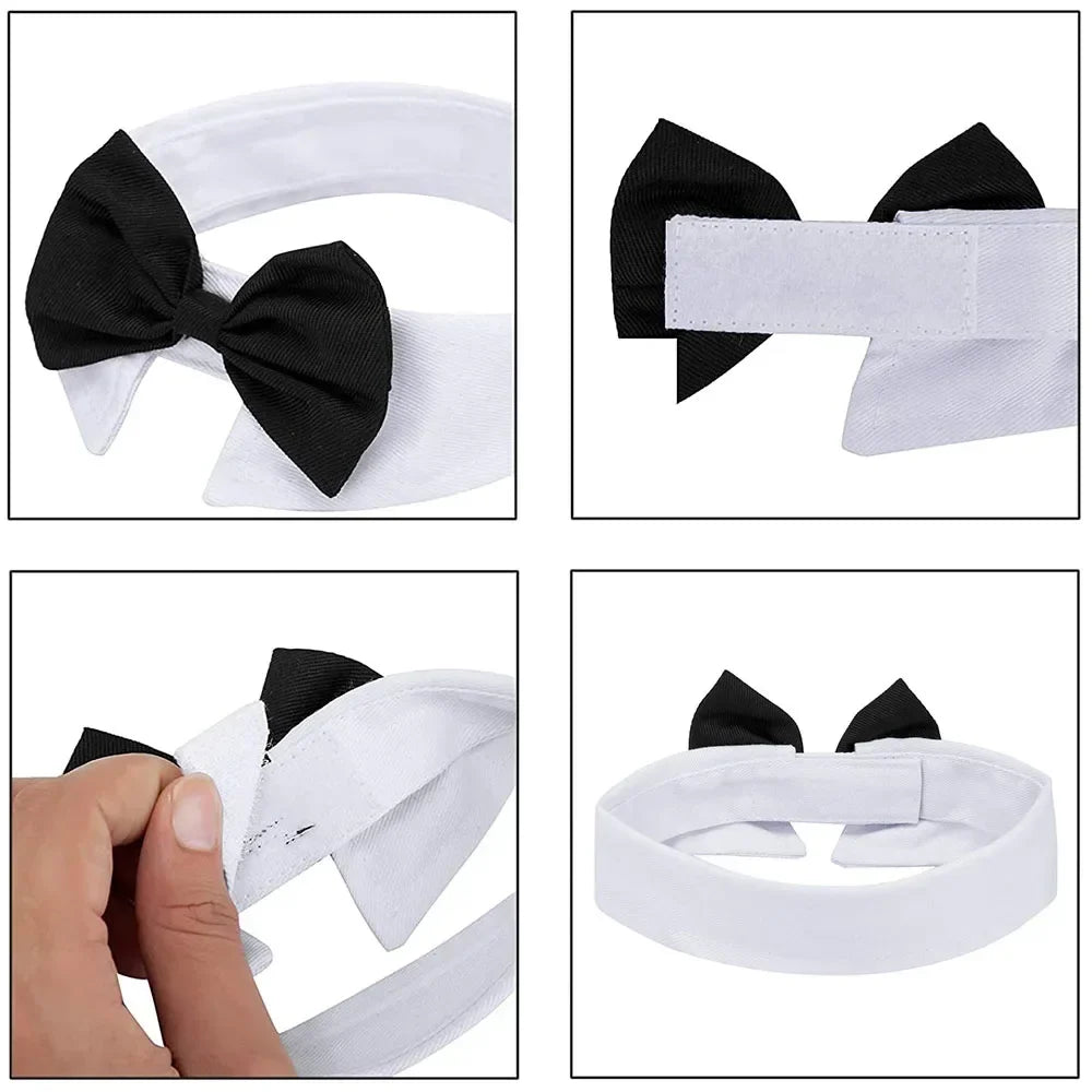 Formal Bow Tie Collar for Dogs and Cats