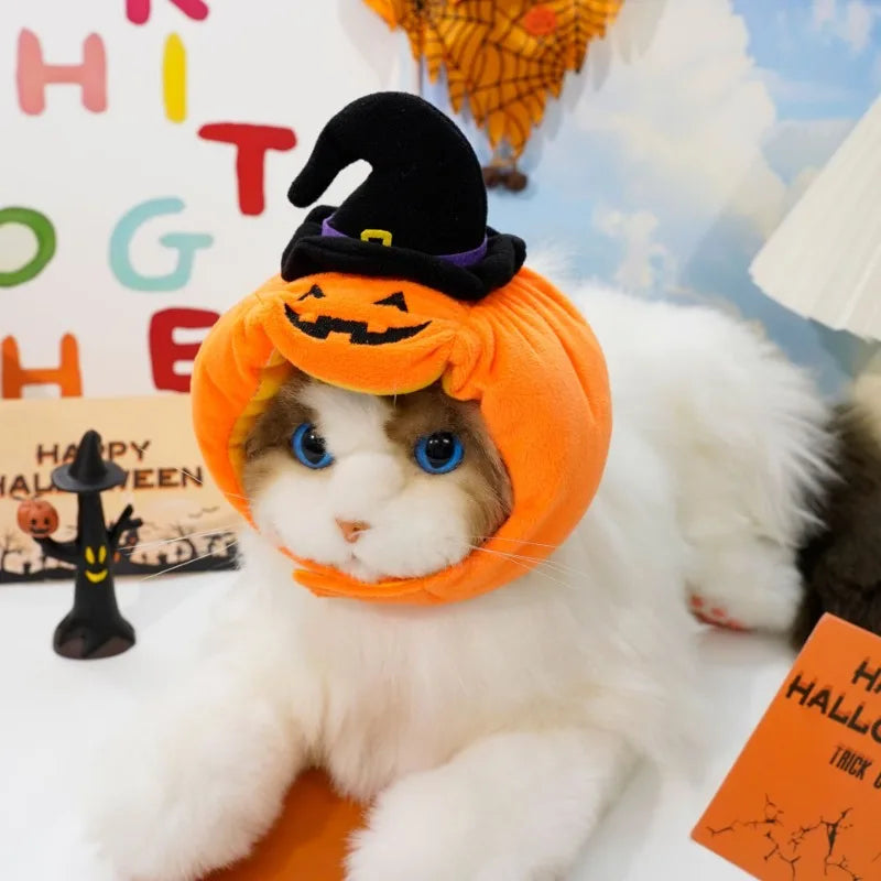 Pumpkin Halloween Costume Hat for Pets
