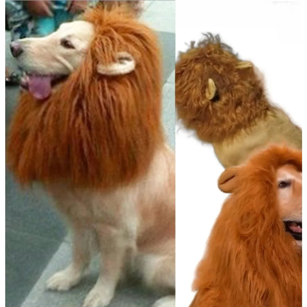 Funny Lion Hat for Dogs Cute Pet Costume with Ears Halloween Dress Up Accessory
