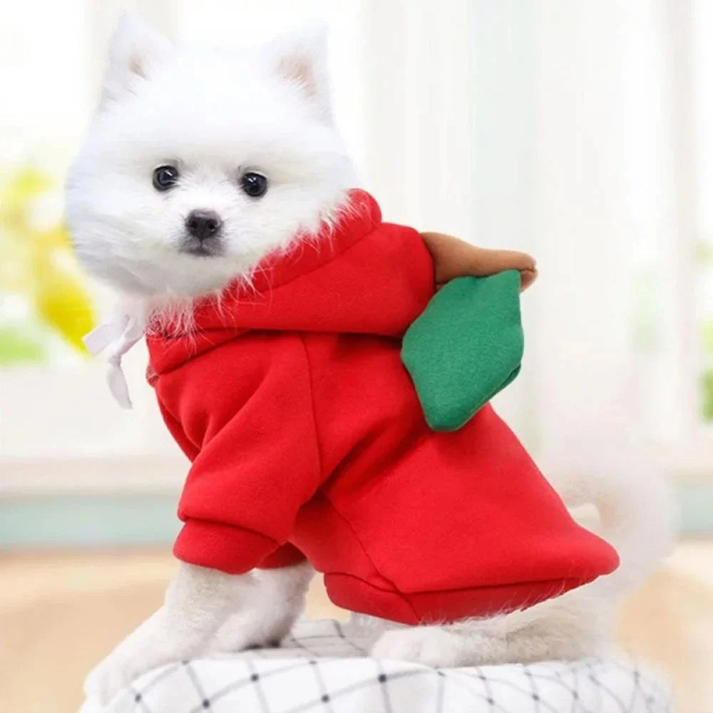 Fruit-Themed Pet Hoodie for Dogs and Cats
