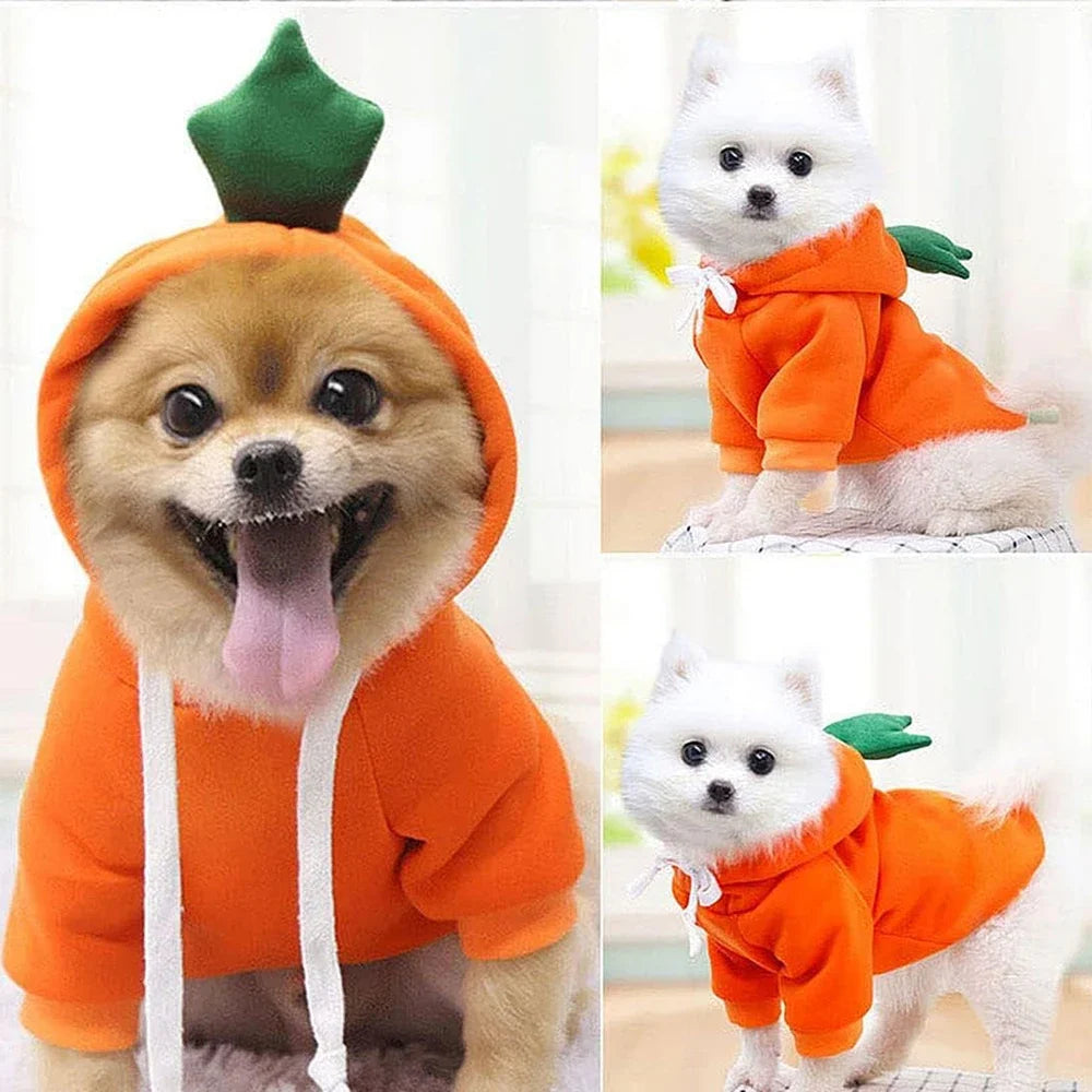 Fruit-Themed Pet Hoodie for Dogs and Cats