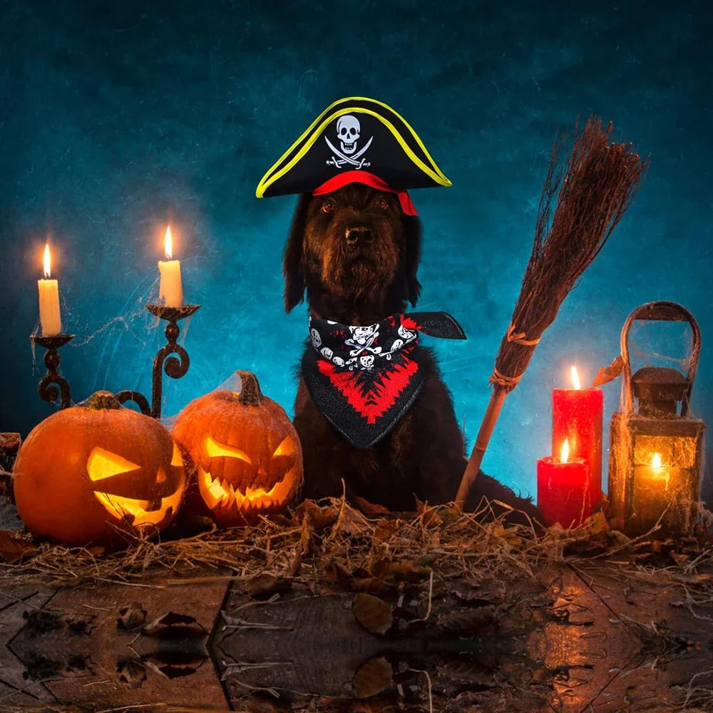 Pirate Hat and Skull Bandana for Dogs and Cats