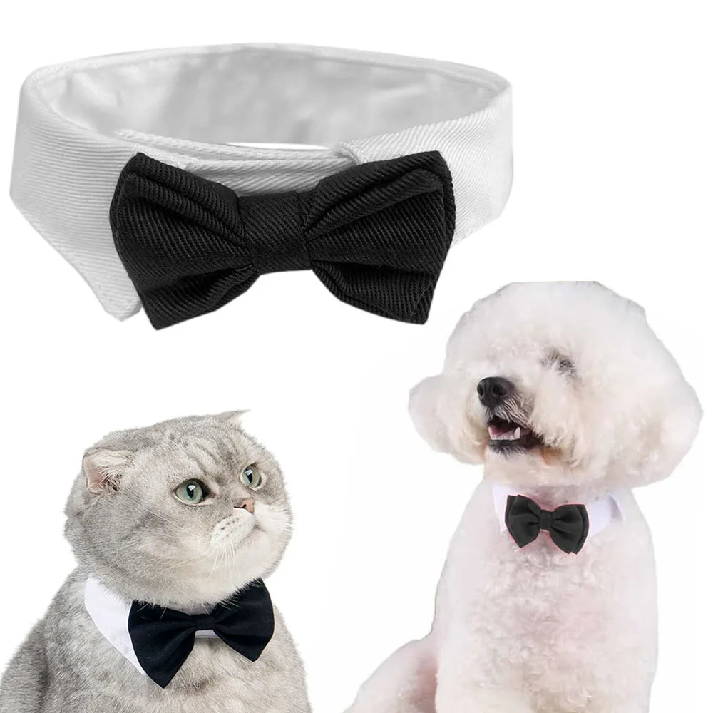 Formal Bow Tie Collar for Dogs and Cats