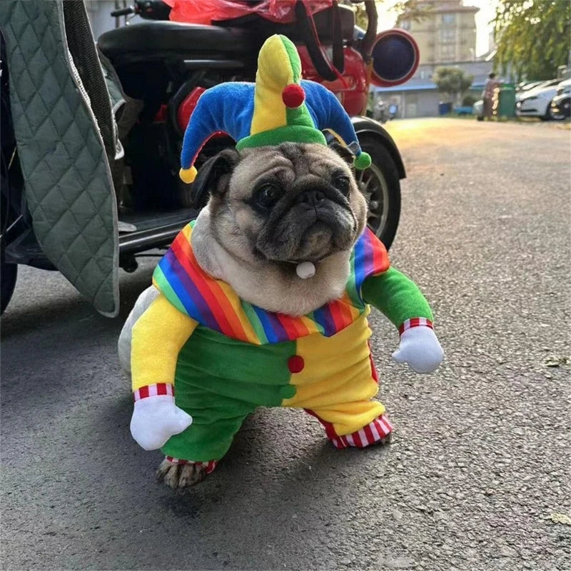 Clown Costume for Small Dogs