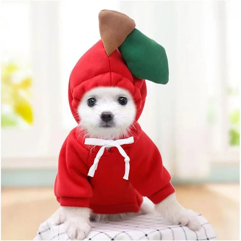 Fruit-Themed Pet Hoodie for Dogs and Cats