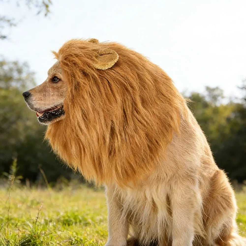 Funny Lion Hat for Dogs Cute Pet Costume with Ears Halloween Dress Up Accessory