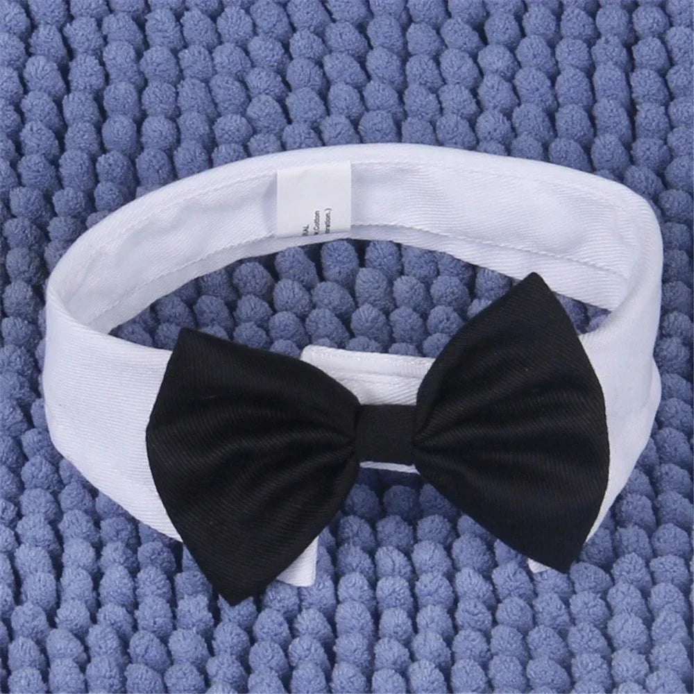 Formal Bow Tie Collar for Dogs and Cats