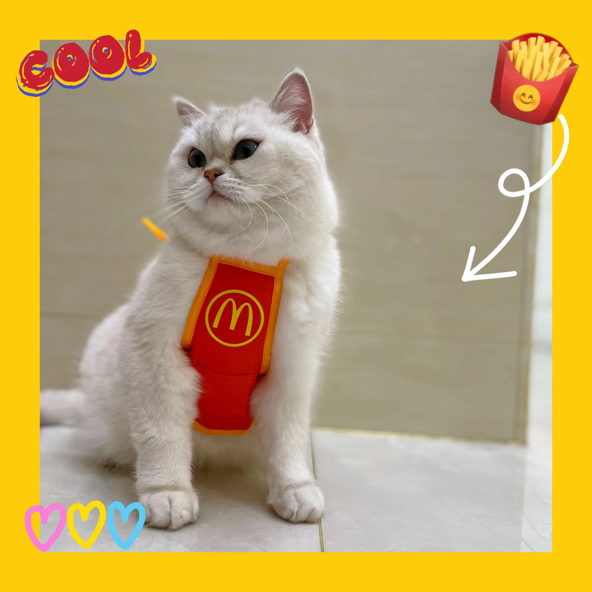 Burger and Fries Pet Costume Accessories