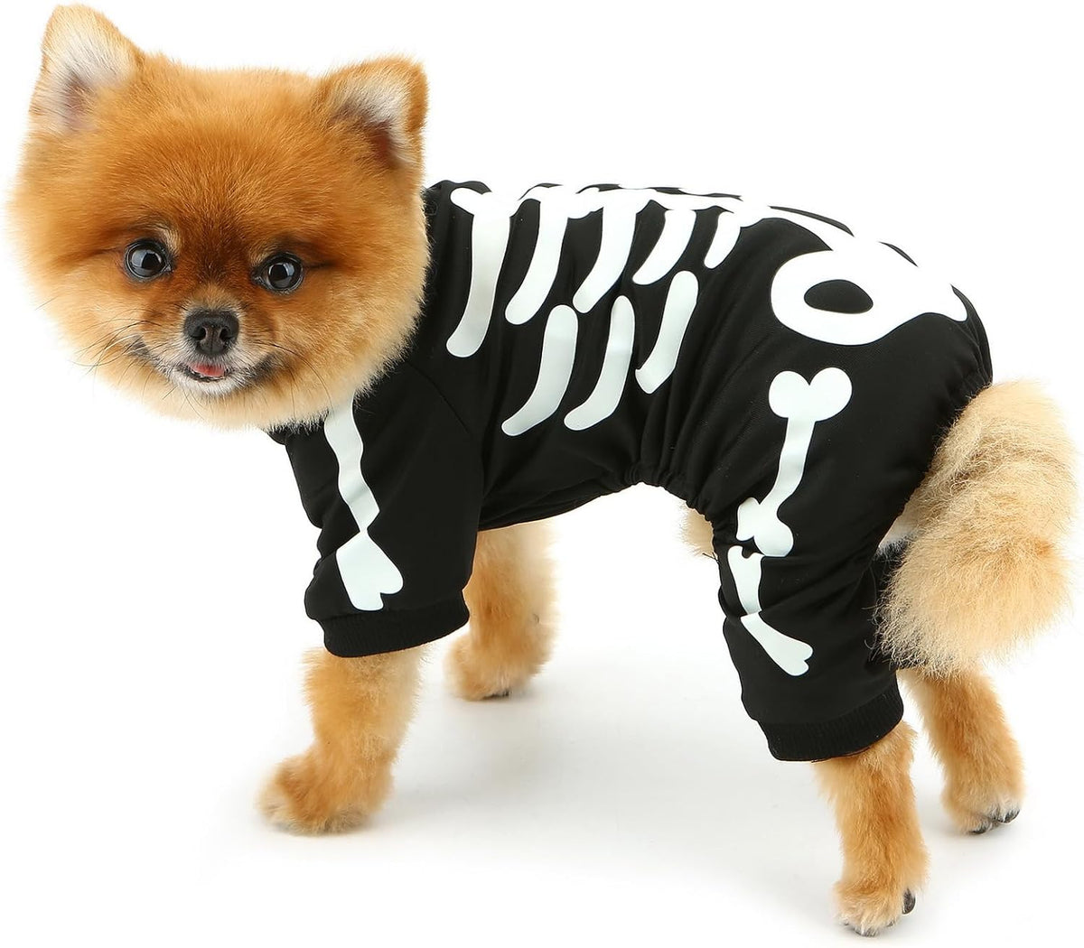 Glow-in-the-Dark Skeleton Dog Halloween Jumpsuit
