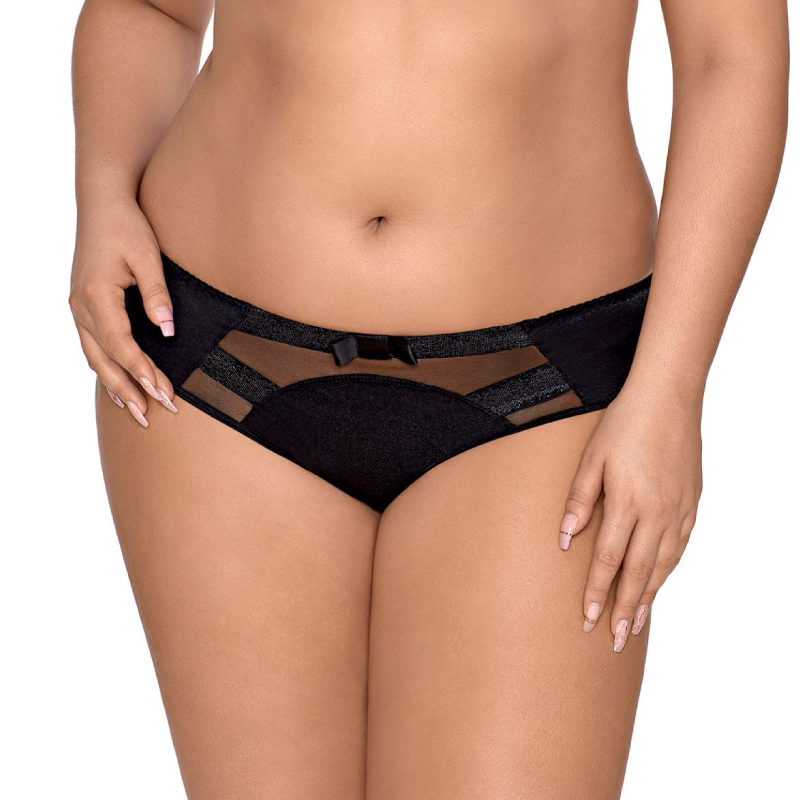 Sheer Lace Bikini Briefs