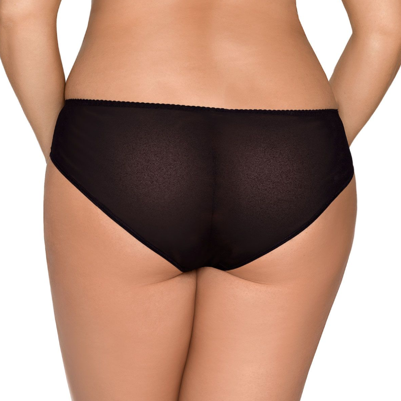 Sheer Lace Bikini Briefs