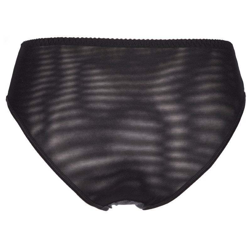 Sheer Lace Bikini Briefs