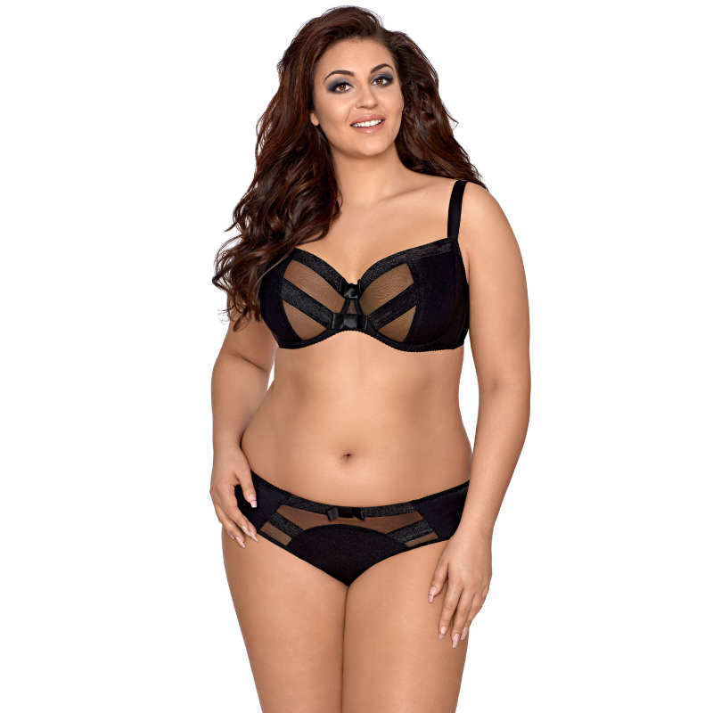 Sheer Lace Bikini Briefs