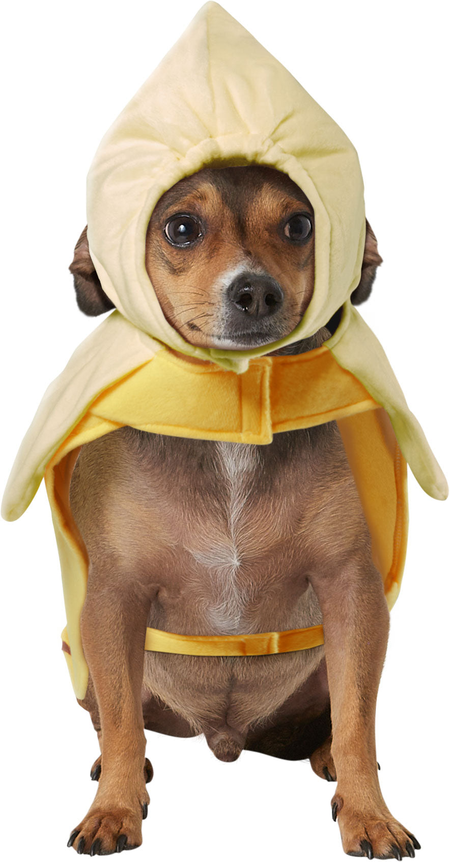 Banana Halloween Costume for Dogs and Cats