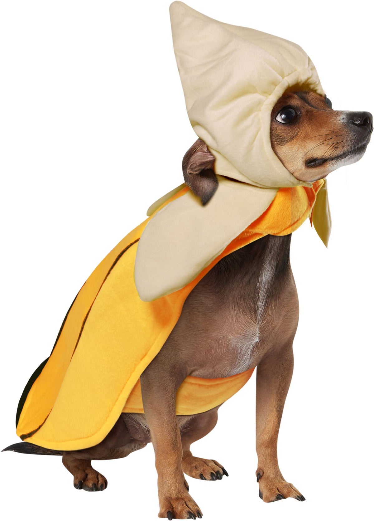 Banana Halloween Costume for Dogs and Cats