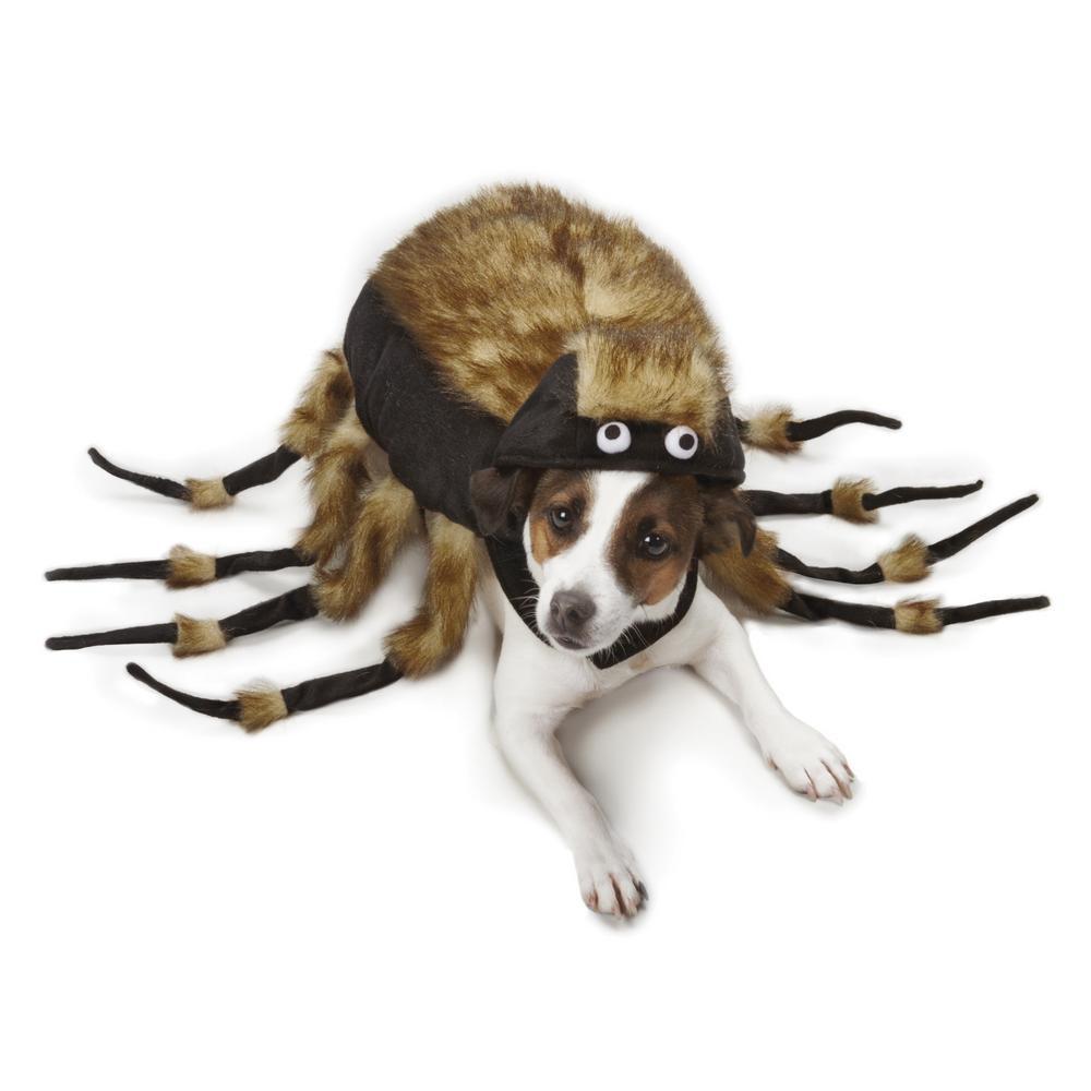 Zack & Zoey Tarantula Dog Halloween Costume